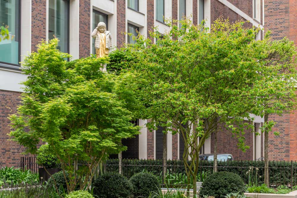 Maylim Maylim News Trees are the Key Awareness Week